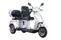 E-Seniorenmobil T409-1, 3-Rad, 1000 Watt, 2 Sitzer
