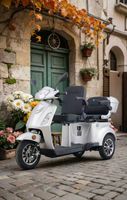 E-Seniorenmobil T409-1, 3-Rad, 1000 Watt, 2 Sitzer