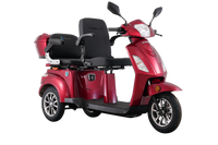 E-Seniorenmobil T409-1, 3-Rad, 1000 Watt, 2 Sitzer