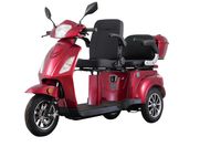 E-Seniorenmobil T409-1, 3-Rad, 1000 Watt, 2 Sitzer
