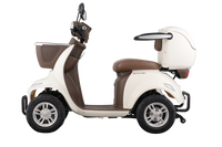 E-Seniorenmobil Lunar SC, Bleigel, 4-Rad 1000W Beige