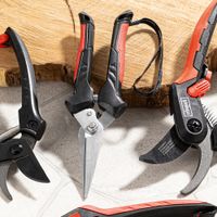 Gartenschere-Ernteschere