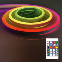 Regenbogeneffekt LED-Schlauch 5 m