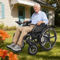 Elektrischer Rollstuhl RST06-SCH, Akku 24V 12Ah, 7km/h