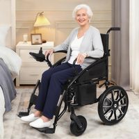 Elektrischer Rollstuhl aus Edelstahl RST04-SCH ,Akku 24V 20AH, 7km/h