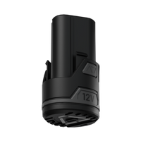 Batavia 12V Akku 2Ah 2.0 Inkl. USB-C Ladekabel