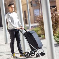 CARLETT Einkaufstrolley Mit 10L Kühltasche, eine Große Kapazität von 25 kg, Für Einkaufen