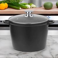 Großer Kochtopf Ø24 cm – Für alle Herdarten