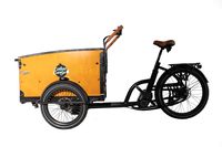 Caboo Cargo E-Bike Familiy S