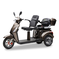 Econelo BILLY 2.0, 1000 Watt, Lithium Braun