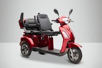 Econelo BILLY 2.0, 1000 Watt, Lithium Braun