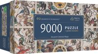 UFT Puzzle 9000 - Alte Himmelskarten