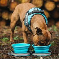 2 Stück Faltbare Reisenäpfe für Tiere – Blau, platzsparend