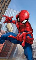 Spiderman Handtuch 30x50 cm – 100 % Baumwolle