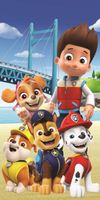 Paw Patrol Strandtuch Baumwolle 70x140 cm