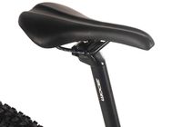 ADORE E-Mountainbike Hardtail 29" GX-950 Mittelmotor 75NM / 15Ah schwarz matt