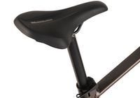 ADORE E-Mountainbike Hardtail 29" GX-750 Mittelmotor 130NM / 15Ah Platingrau matt