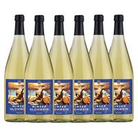 GLÜ Winzer Glühwein weiß 1,0L 6er Karton
