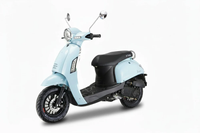 Motorroller Massimo 45 kmh, GT Union 