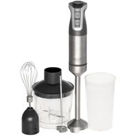 Adler AD 4627 G Stabmixer-Set 1800 W mit Turbo in Grau