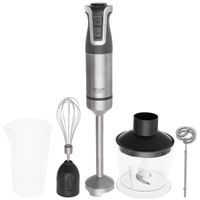 Adler AD 4627 G Stabmixer-Set 1800 W mit Turbo in Grau