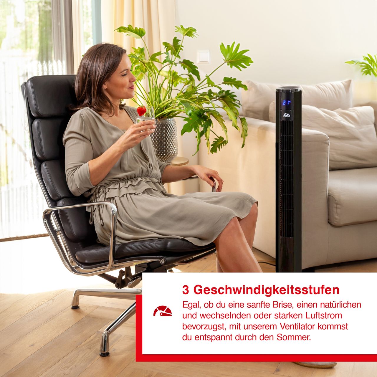 Miniaturansicht des Produkts