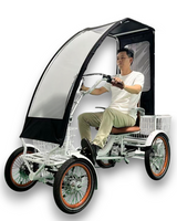 Therapeutisches Elektro vierrädriges Fahrrad KiKi 4 Alu Klapprad Erwachsene