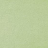 Aloe-Vera Jersey-Kissenbezug 2er-Set