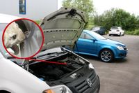 Marderabwehr 12V mit Ultraschall & Licht