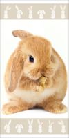 Bunny Strandtuch 70x140 cm - Baumwolle Frottee Premium-Druck