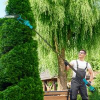 2-in-1 Mini Kettensäge 580W mit Akku 8000mAh Sicherheitsverriegelung