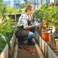 Heckenschere Set 3-teilig Gartenschere Astschere mit Stahlklingen Griff