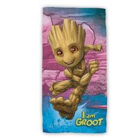 Groot Strandtuch aus Baumwolle 70x140 cm