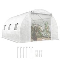 Gewächshaus Foliengewächshaus ca. 3x4x2m Winterfest Tomatenhaus mit 6 Fenstern