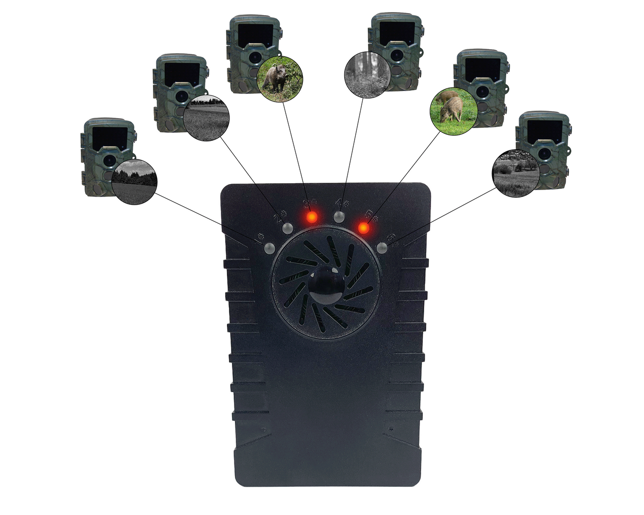 Miniaturansicht des Produkts