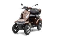 DENNIS 4.0 - 25 KM/H Lithium Braun