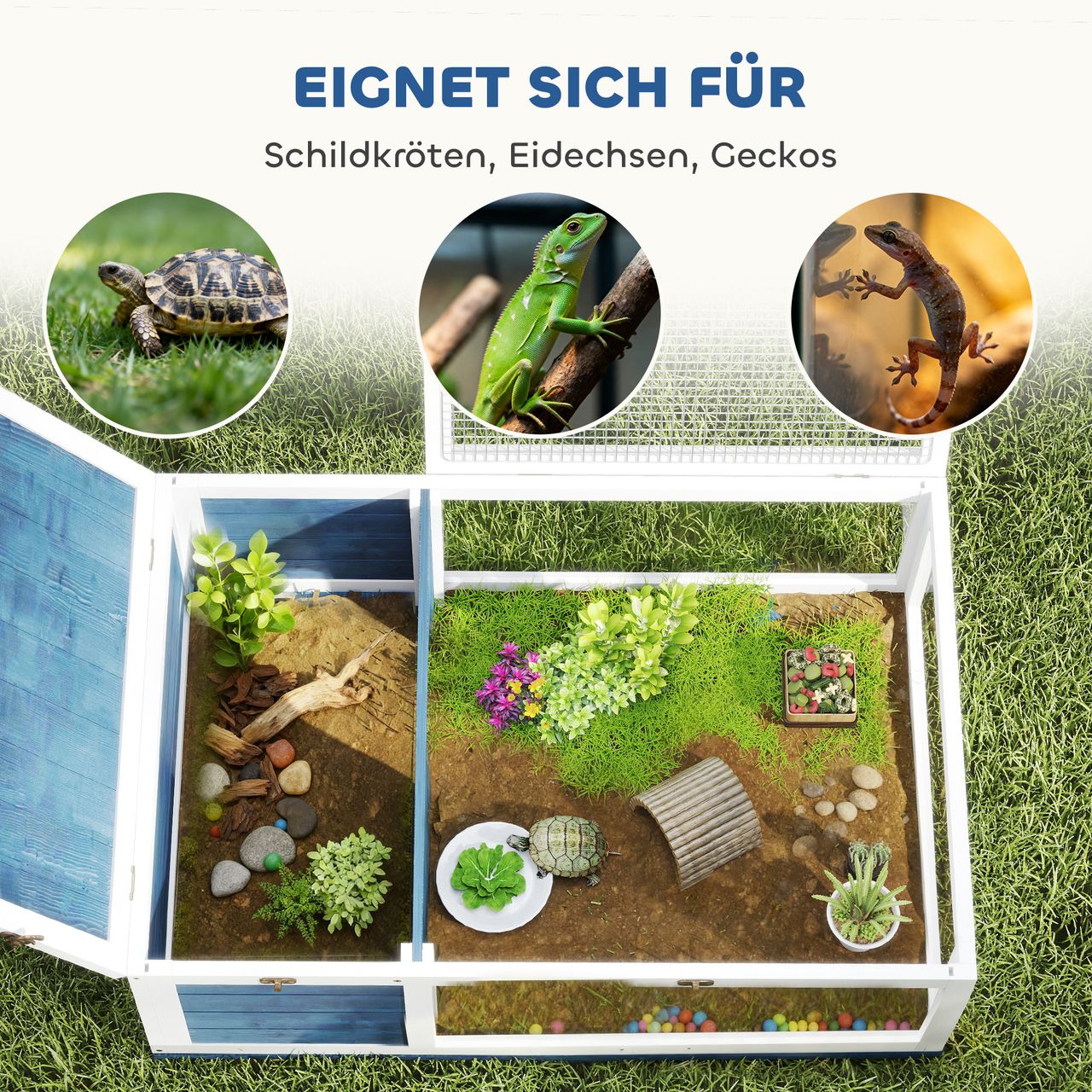 Miniaturansicht des Produkts