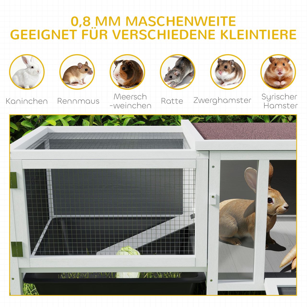 Miniaturansicht des Produkts