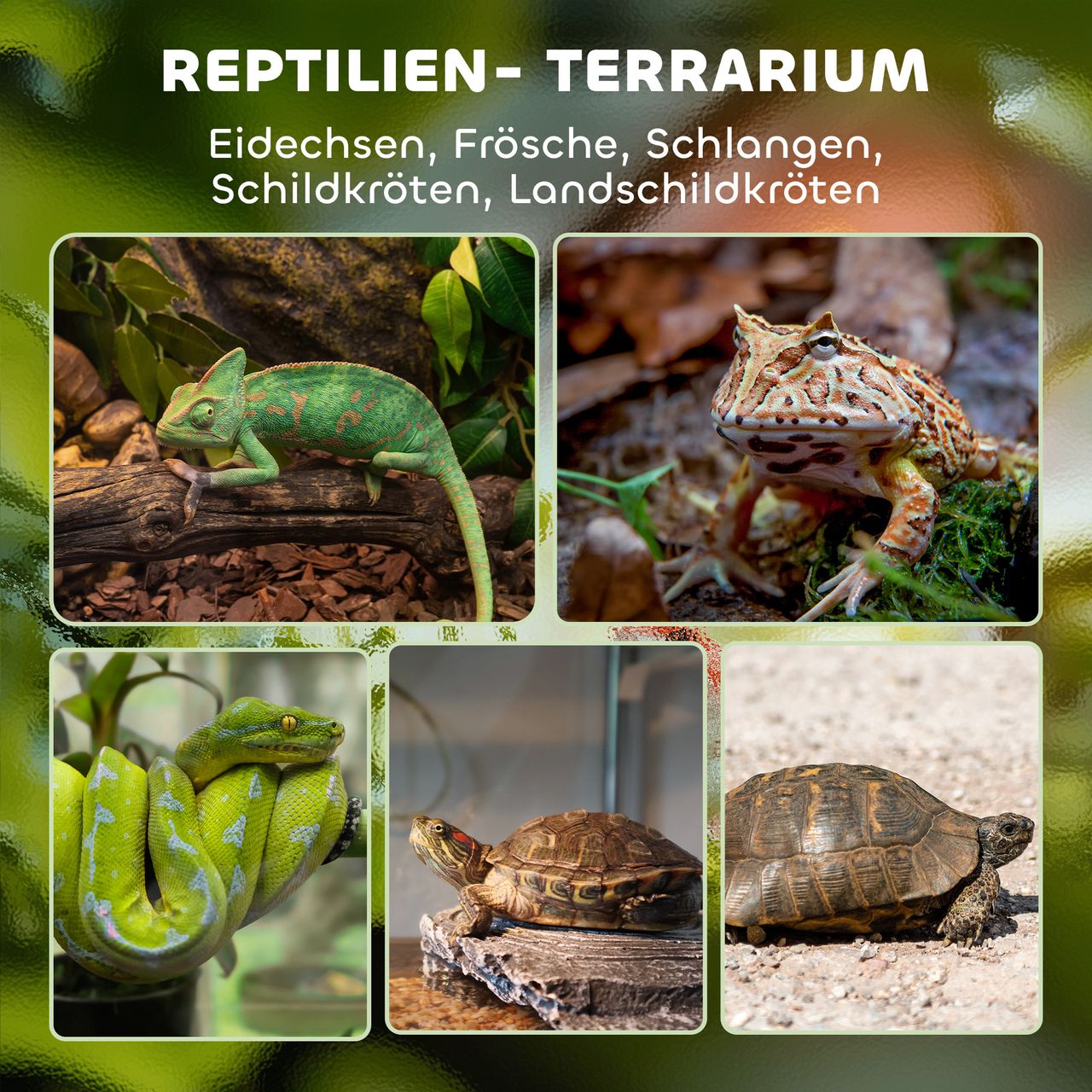 Miniaturansicht des Produkts