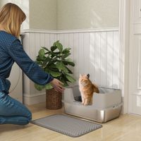 Katzentoilette Edelstahl Offene Katzenklo mit Schaufel hohem Rand Matte Grau