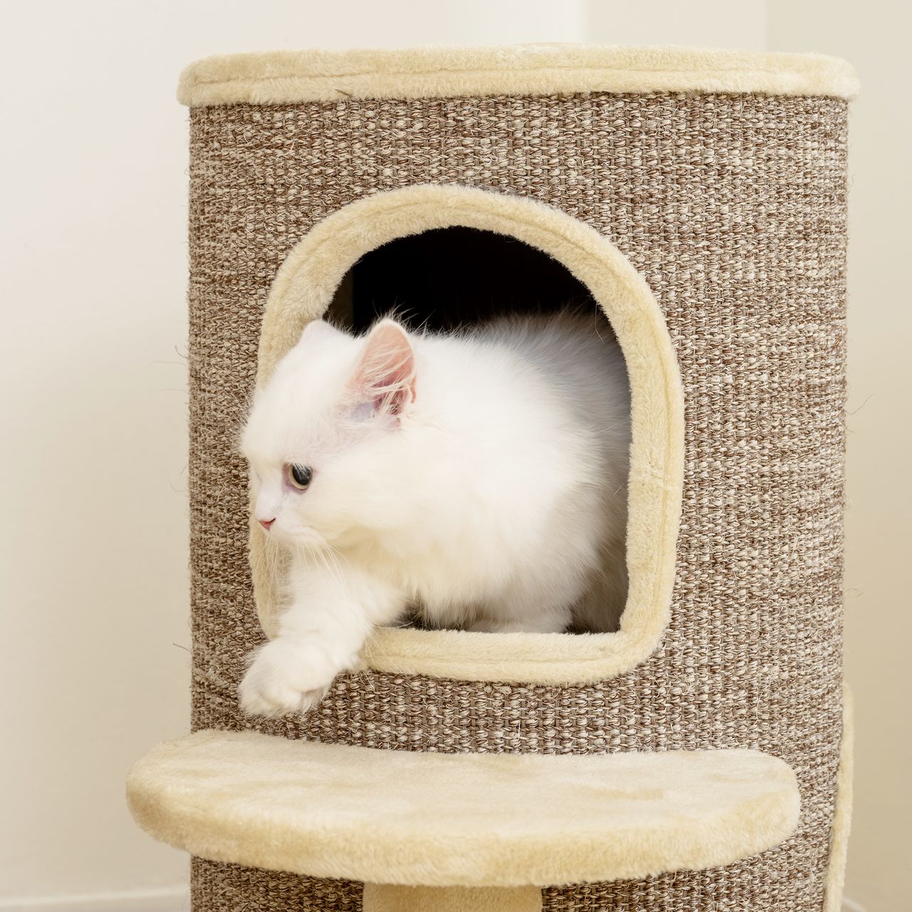 Miniaturansicht des Produkts