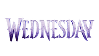 Wednesday Kopfkissen Premium Dekokissen mit Digitaldruck