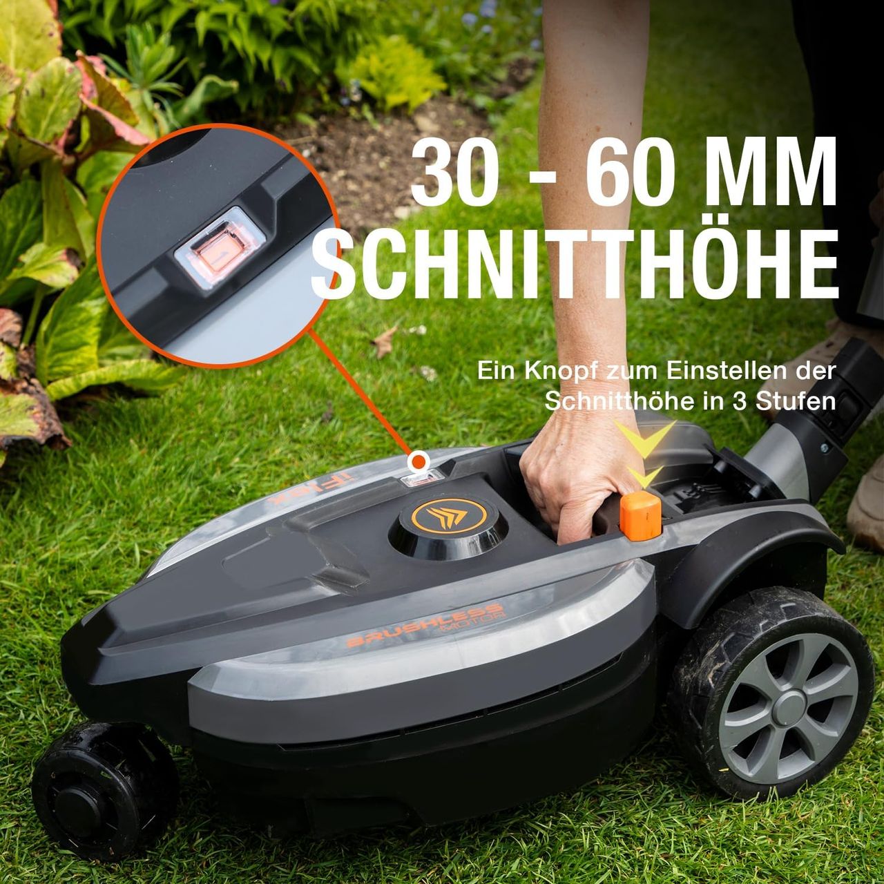 Miniaturansicht des Produkts