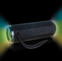 Bluetooth Lautsprecher BT 203