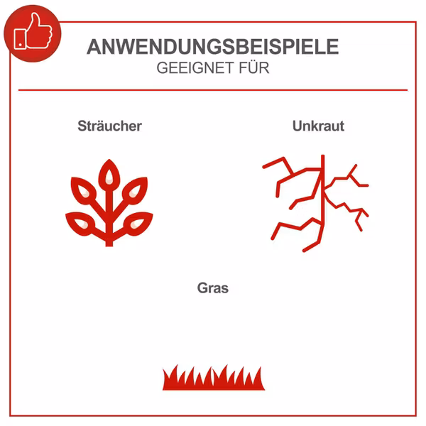 Miniaturansicht des Produkts