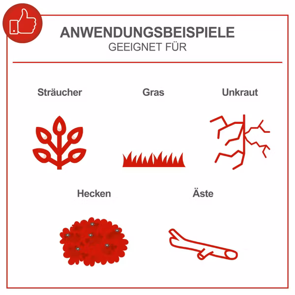 Miniaturansicht des Produkts