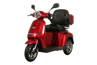 E-Seniorenmobil Aktiv Mobil E-Rider 1000 mit Top Case rot - 25 km/h