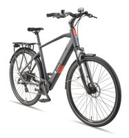 Expedition XT490 Trekking E-Bike Herren (250 W, 36 V) - Granitgrau 