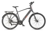 Expedition XT490 Trekking E-Bike Herren (250 W, 36 V) - Granitgrau 