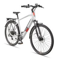 Expedition XT490 Trekking E-Bike Herren (250 W, 36 V) - Kreide 